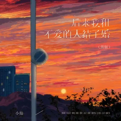 后来我和不爱的人结了婚 (男版)封面