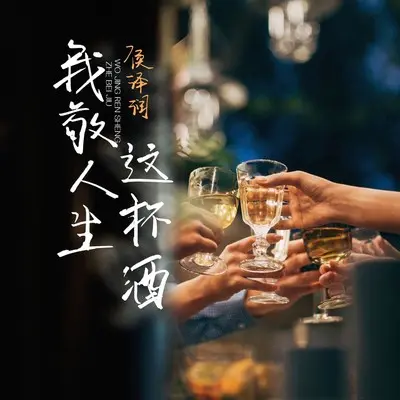 我敬人生这杯酒封面