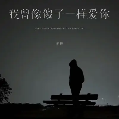 我曾像傻子一样爱你(DJEva版)封面