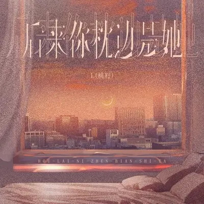 后来你枕边是她封面