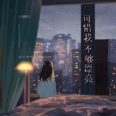 可惜我不够漂亮封面