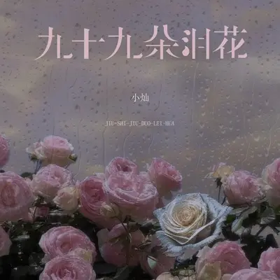 九十九朵泪花 (DJ Eva男版)封面