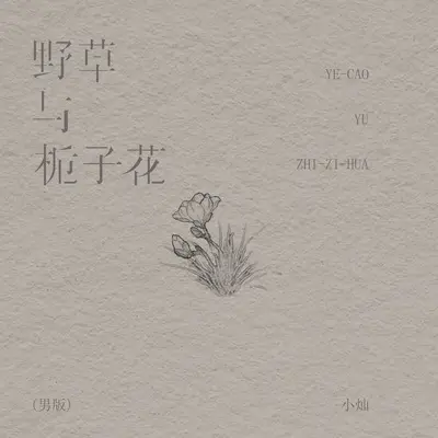 野草与栀子花 (DJ Eva男版) - 小灿封面