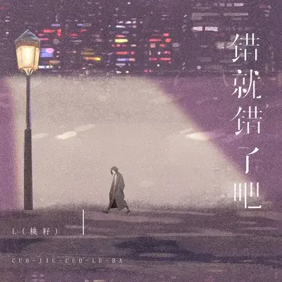 错就错了吧封面