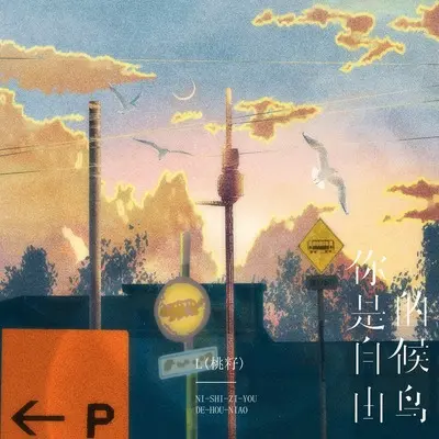 你是自由的候鸟封面