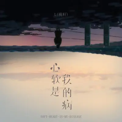 心软是我的病封面