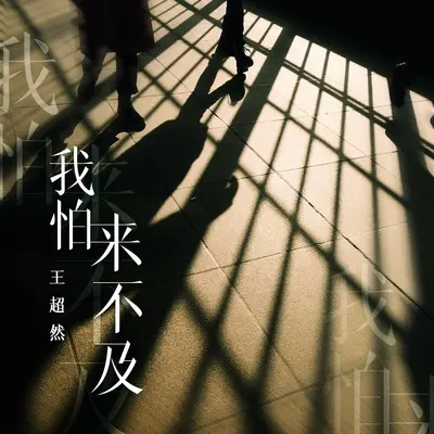 我怕来不及封面