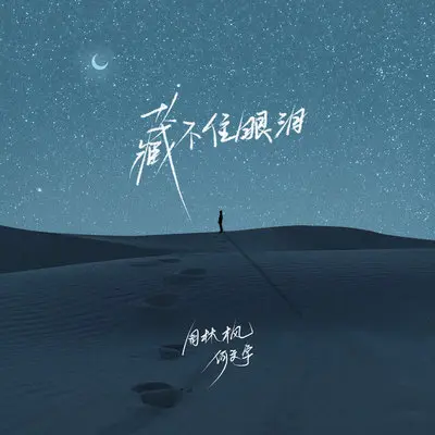 藏不住眼泪（DJ刘超版）封面