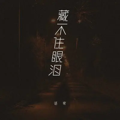 藏不住眼泪封面