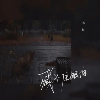 藏不住眼泪 - 老板封面