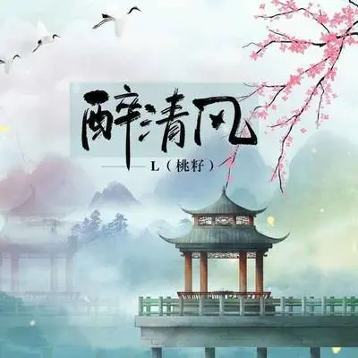 醉清风 (伴奏)封面