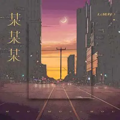 某某某封面