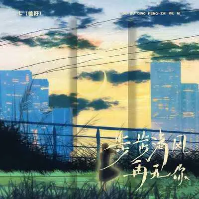 步步清风再无你封面