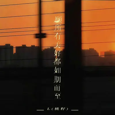 愿所有美好都如期而至封面
