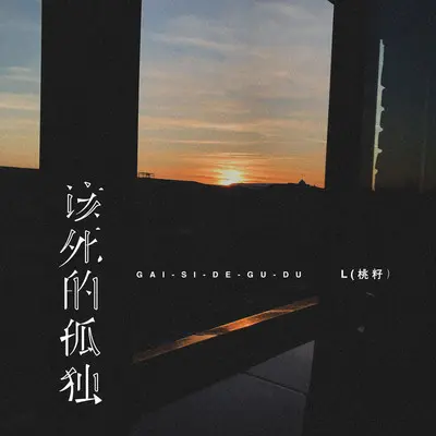 该死的孤独（DJ Eva版）封面