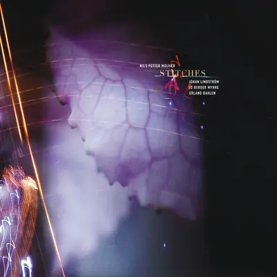 Nearly Invisible Stitches封面