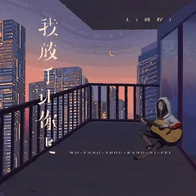 我放手让你飞封面