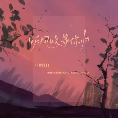 听风吹等你归（Live合唱版） - L（桃籽）封面