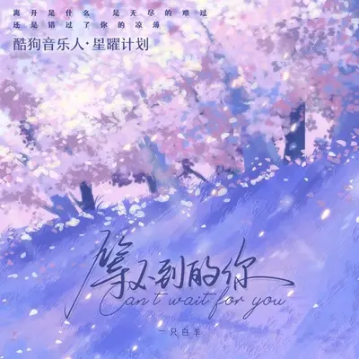 等不到的你 (DJ沈念版)封面