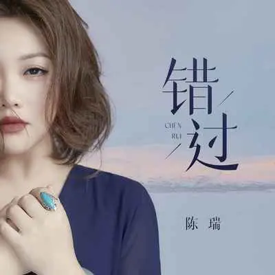 错过 (DJ九零慢摇版)封面