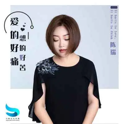 爱的好痛想的好苦 (DJ阳山伟伟版)封面