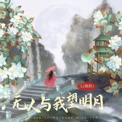 无人与我望明月封面