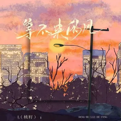 等不来的风封面