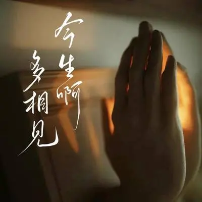 今生啊 多相见(烟嗓版)封面