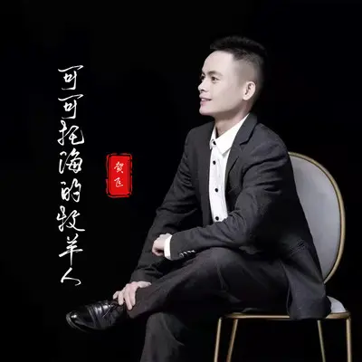 可可托海的牧羊人封面