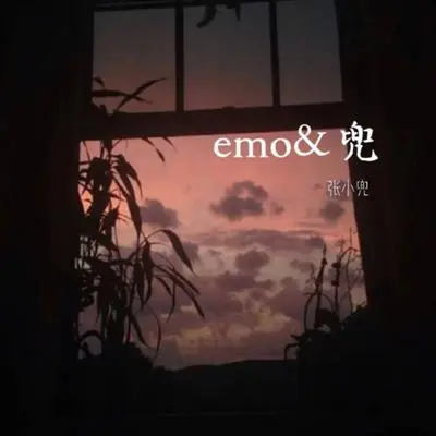反正 - 张小兜封面