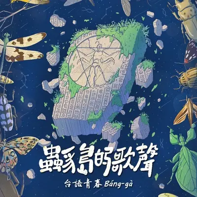 靠岸（二胡演奏版） - 罗常秦封面
