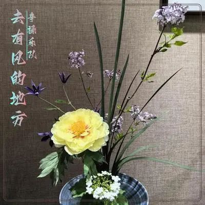 去有风的地方封面