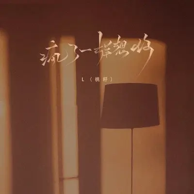 疯了一样想你封面