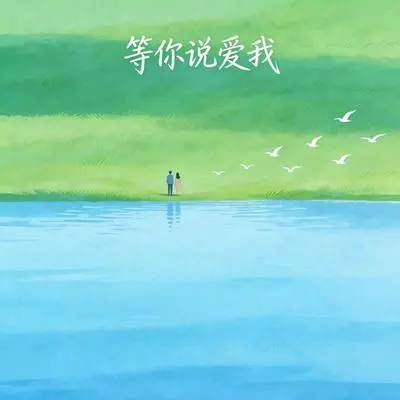 等你说爱我封面