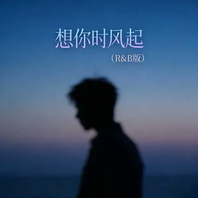 想你时风起(R&B版)封面