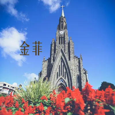 痛苦 - 金菲封面