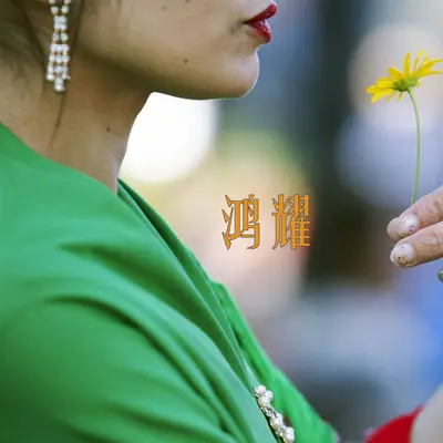 模仿 - 鸿耀封面