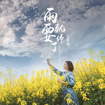 雨就要停了封面