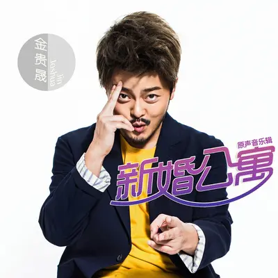 我没有办法不去爱你(电视剧《新婚公寓》插曲)封面