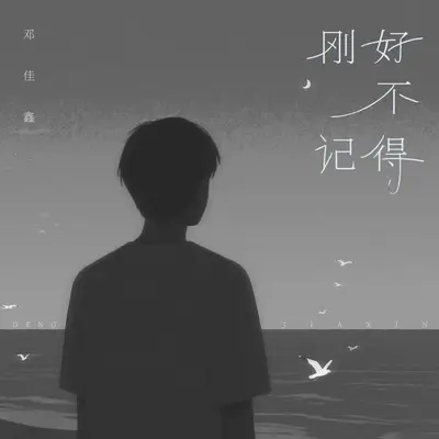 刚好不记得封面