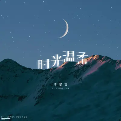时光温柔封面