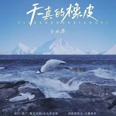 天真的橡皮 (DJ版)封面