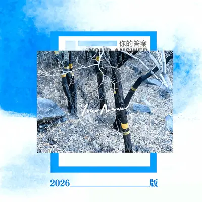 你的答案(2026版)封面
