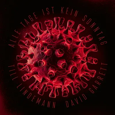 Alle Tage ist kein Sonntag(Classical Version)封面