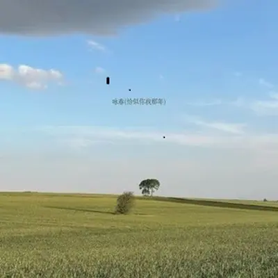 咏春封面