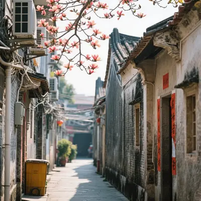 岭南旧巷岁月香封面