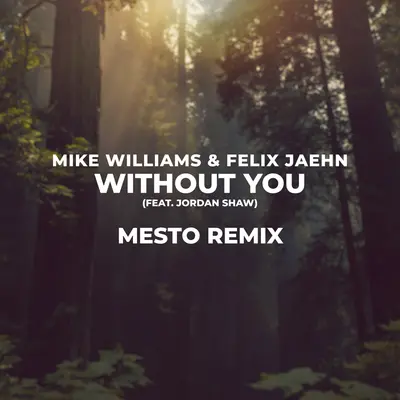 Without You(Mesto Remix)封面
