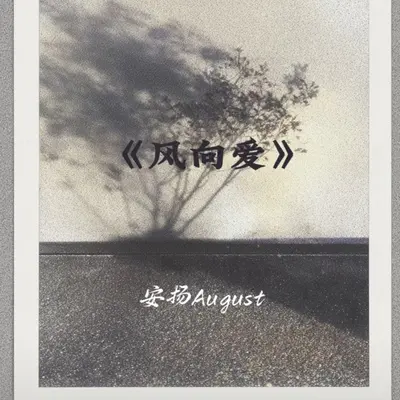 风向爱(伴奏)封面