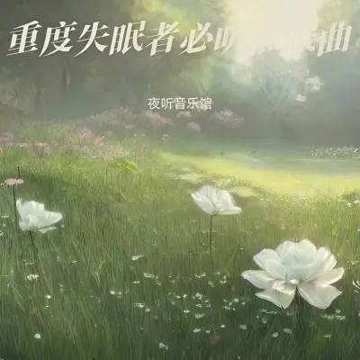 钢琴曲纯音乐舒缓睡眠 一秒入睡 - 夜听音乐馆封面