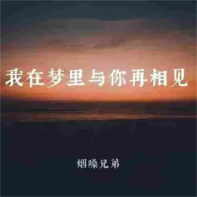 我在梦里与你再相见 (伤感版)封面
